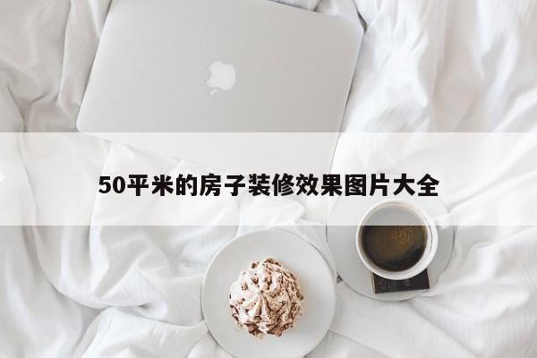 50平米的房子装修效果图片大全